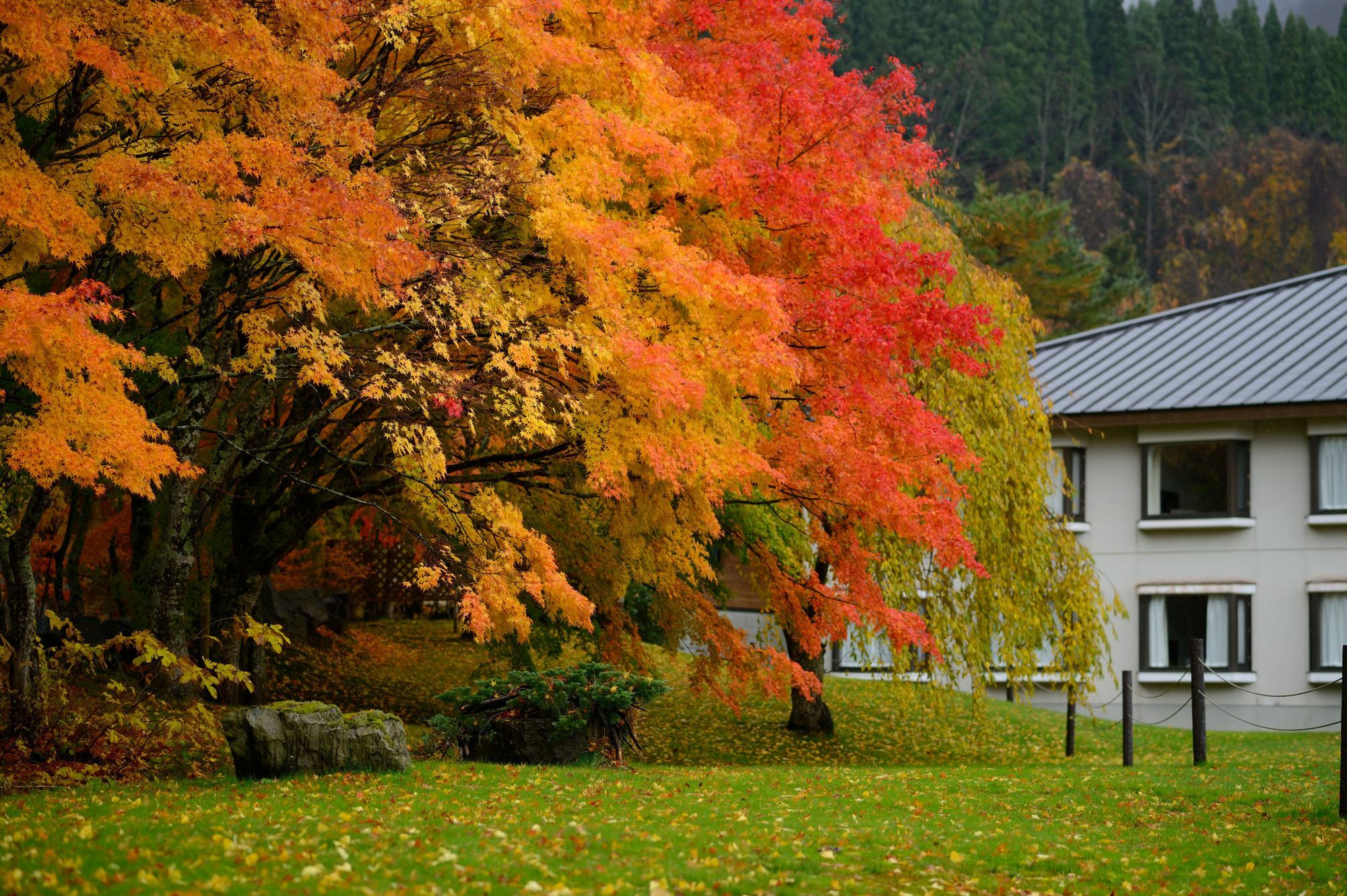 Towada Prince Hotel Kosaka Zewnętrze zdjęcie